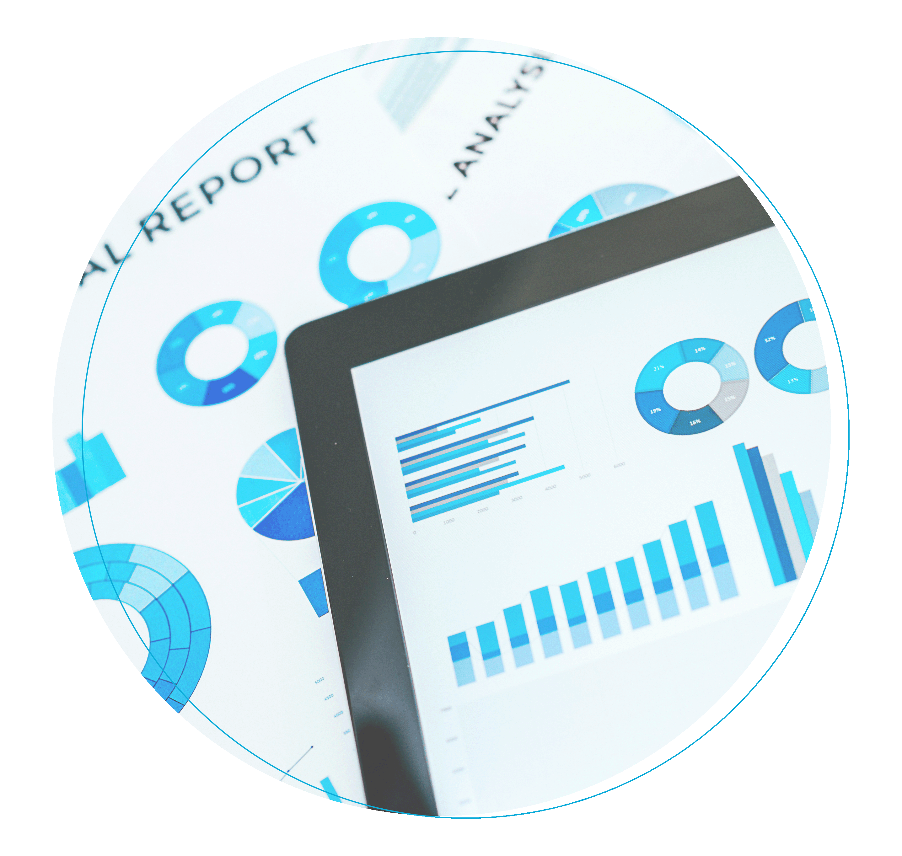 IXOS_Reports_Profi